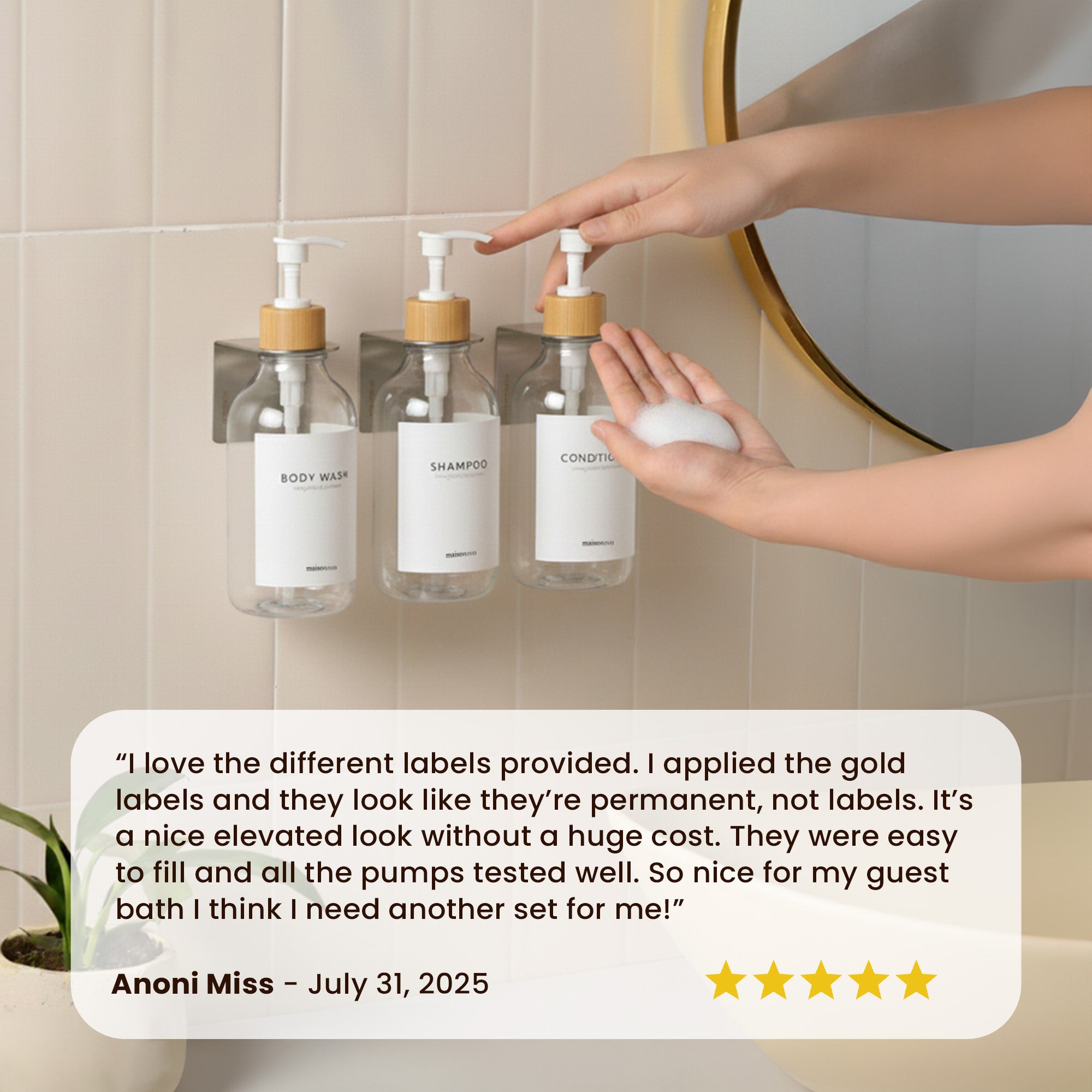 Modern Hamptons Collection - Clear Bamboo